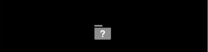gray screen with no disk icon