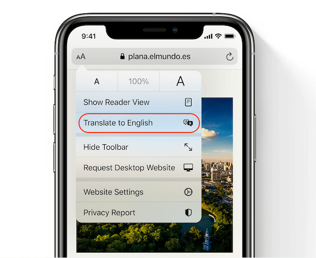 translating web page in Safari 2