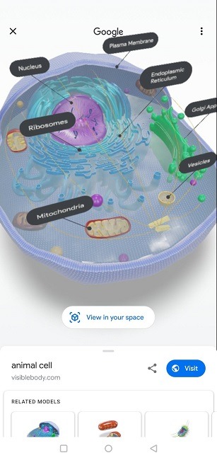 How To Google 3d Objects Animal Cell