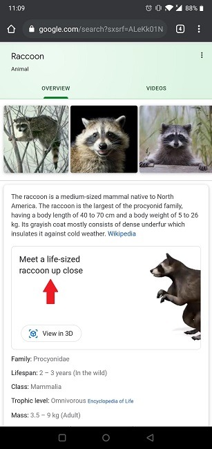 How To Google 3d Objects Search Animal