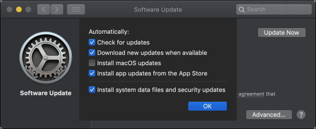 The macOS Software Updates panel.