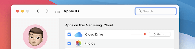 iCloud Drive.