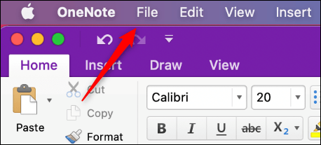 Fichier dans OneNote pour Mac.