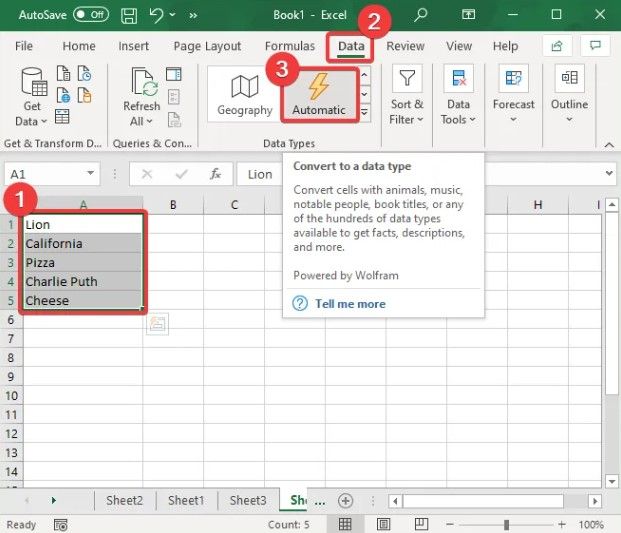 Comment ajouter un type de données automatique dans Microsoft Excel.