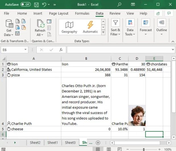 Type de données ajouté automatiquement dans Excel.