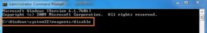 Tapez-reagentc-disable-in-command-prompt
