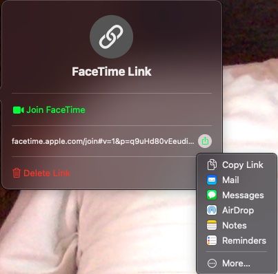 C'est ainsi que nous pouvons utiliser FaceTime sur Windows, en partageant le lien de la réunion depuis Mac.