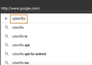 Mentionnez-L'URL-De-CyberFlix