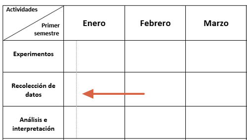 Comment faire un calendrier d'activités dans Word étape 6