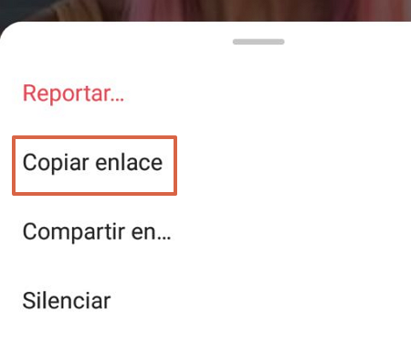 comment télécharger des photos, des vidéos, des histoires, des igtv et des bobines d'Instagram à l'aide de SaveIG dans la version mobile étape 6