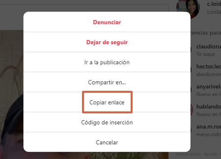 comment télécharger des photos, des vidéos, des histoires, des igtv et des bobines d'Instagram en utilisant Save Insta comme alternative en ligne étape 3