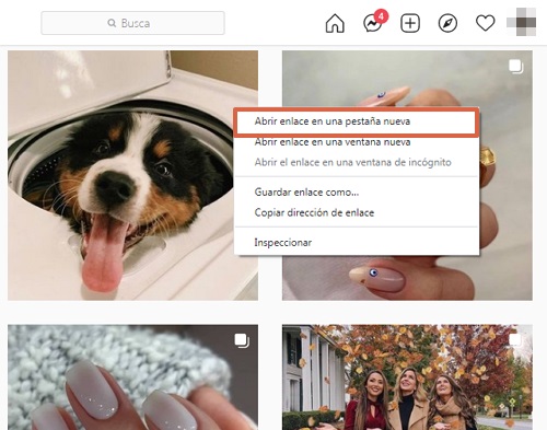 Comment télécharger des photos Instagram sur un PC Windows et macOS en modifiant l'URL Étape 3