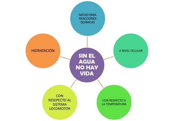 Types de schémas et exemples.  Schéma radial