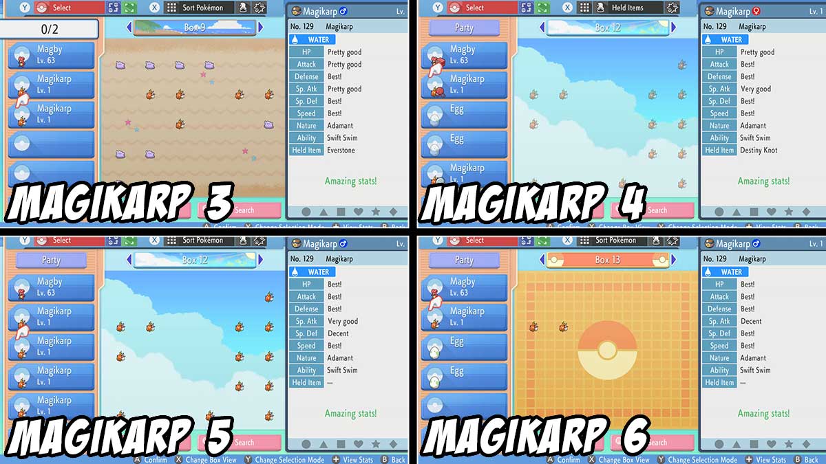 final-magikarps-5-iv-pokemon-brilliant-diamant-brillant-perle